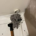 Breathe Better: Vent Cleaning Service in Pinecrest FL